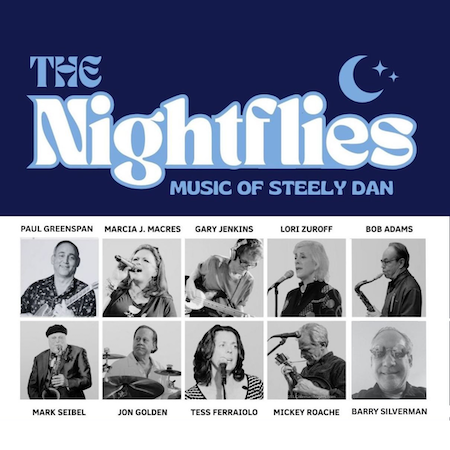 The Nightflies - Music of Steely Dan